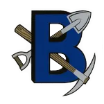 Bingham logo