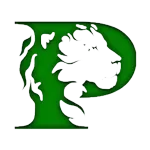 Payson logo